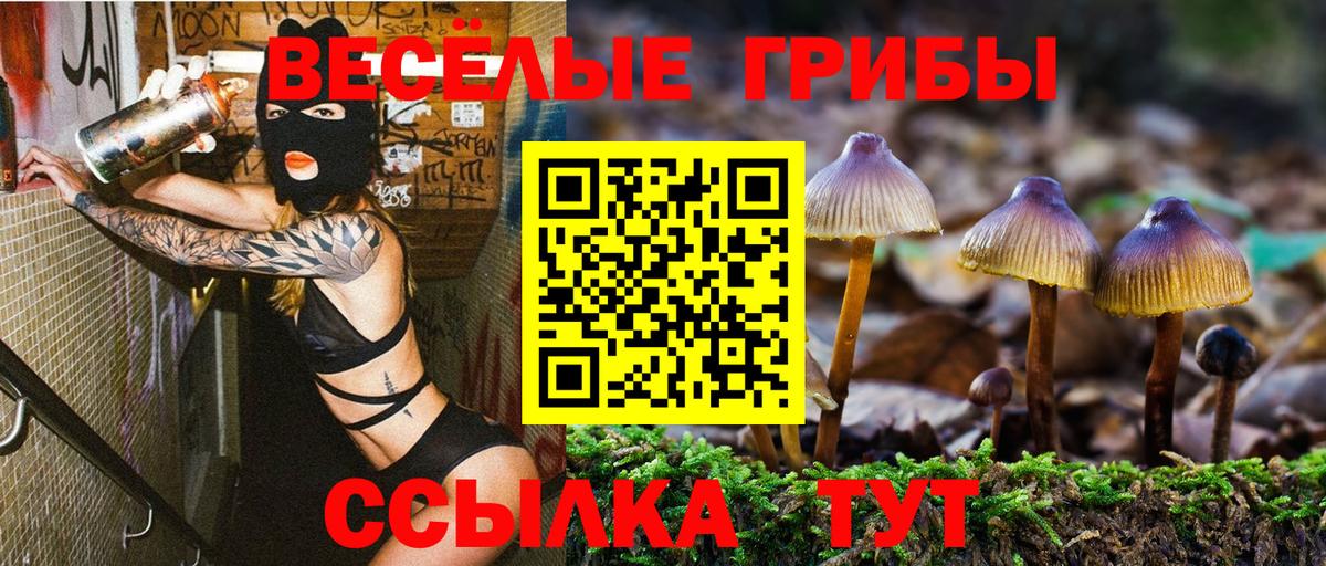 Псилоцибиновые грибы Magic Shrooms  Вход с VPN  Псилоцибиновые грибы GOLDEN TEACHER  Дедовск 